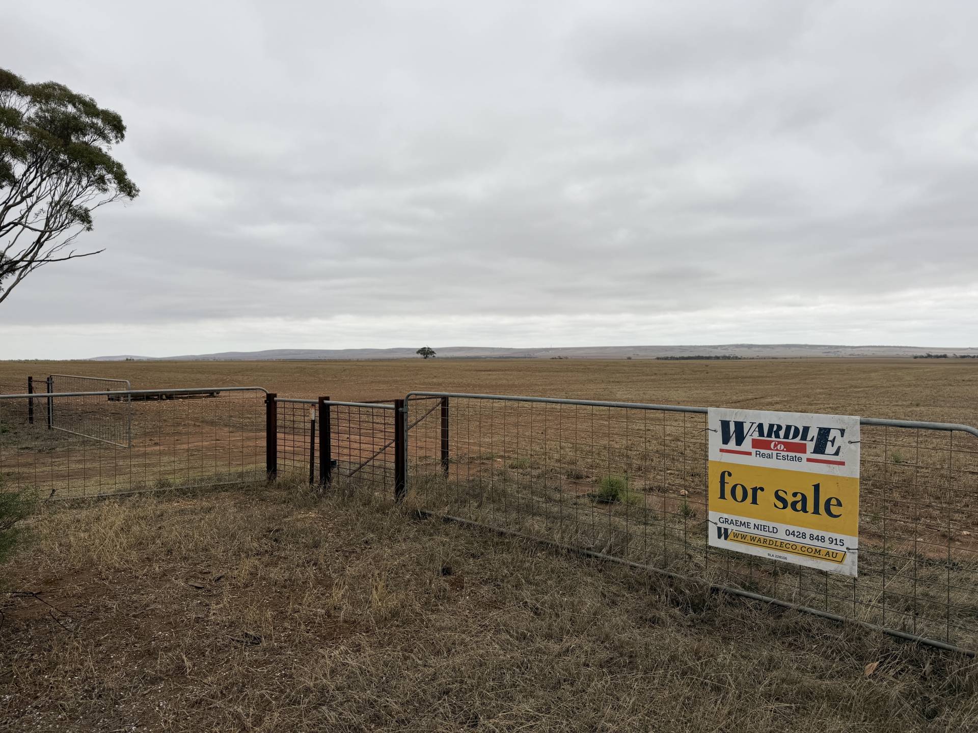 29 Acacia Road, Everard Central - Thumbnail 8