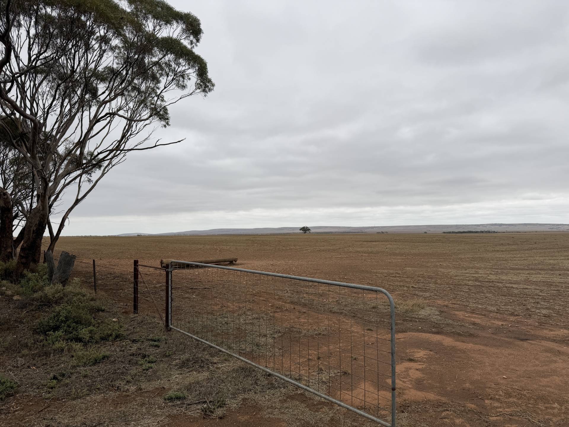 29 Acacia Road, Everard Central - Thumbnail 5