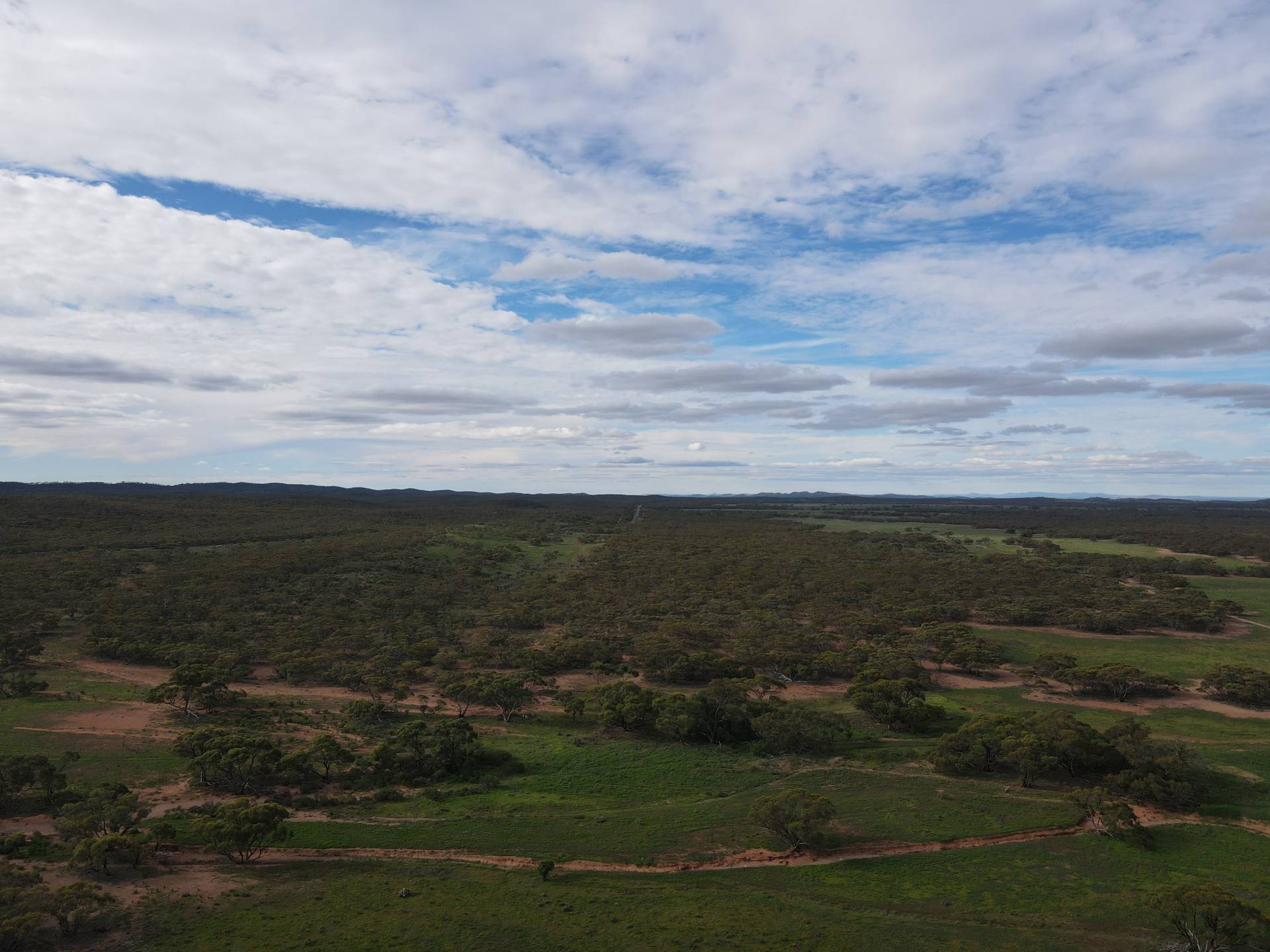 Pine Creek Road, Parnaroo - Thumbnail 2