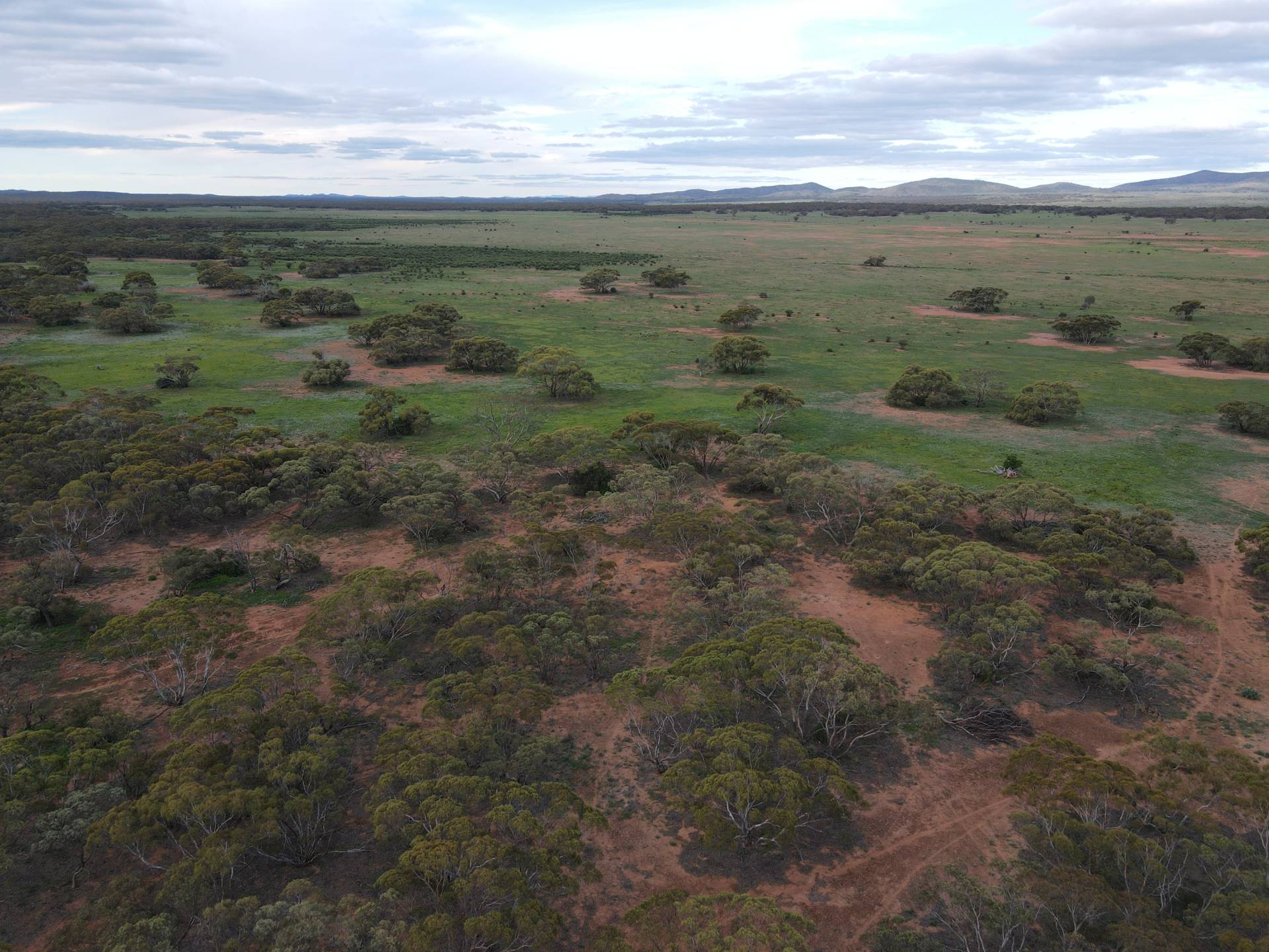 Pine Creek Road, Parnaroo - Thumbnail 3