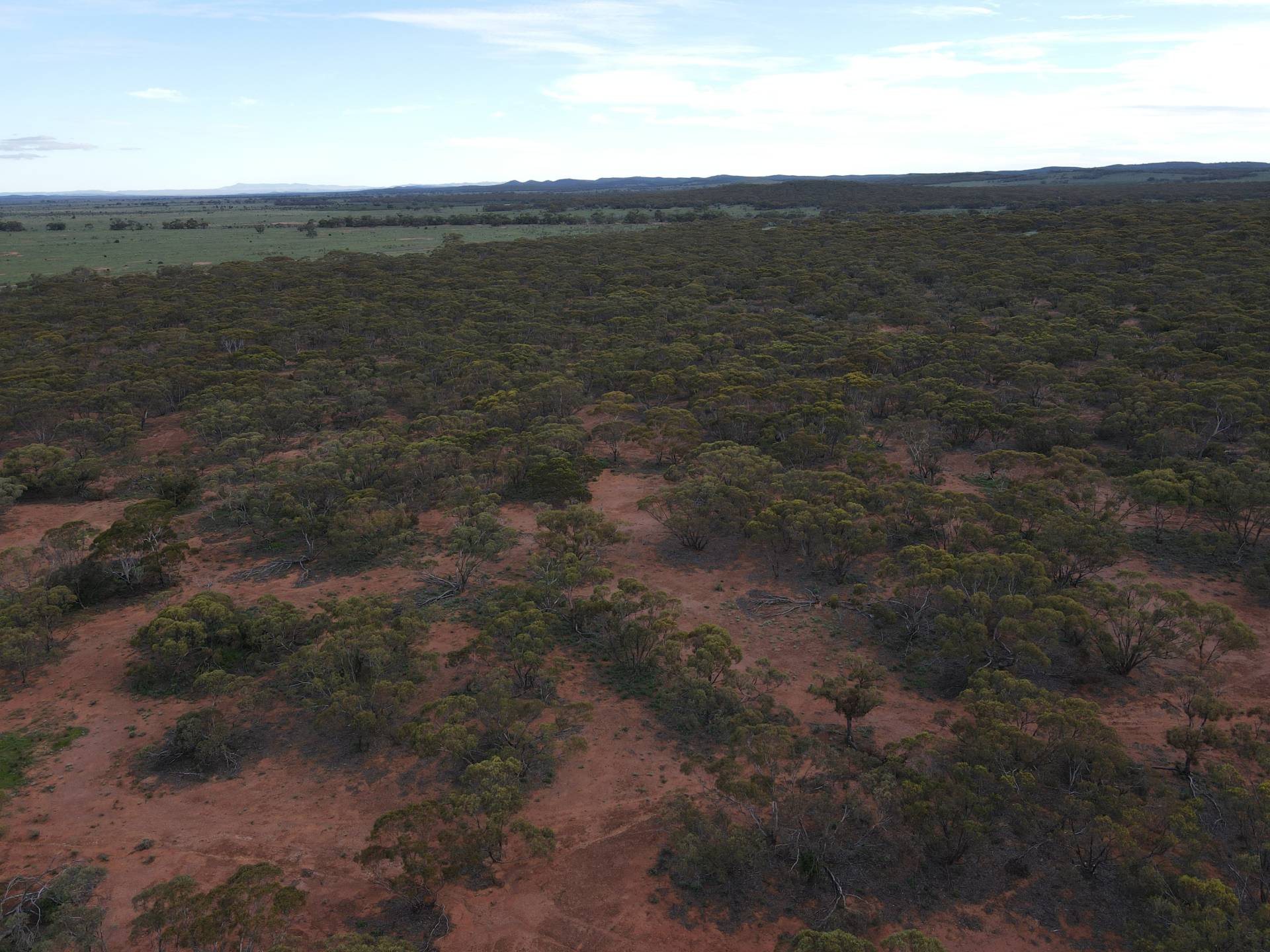 Pine Creek Road, Parnaroo - Thumbnail 4