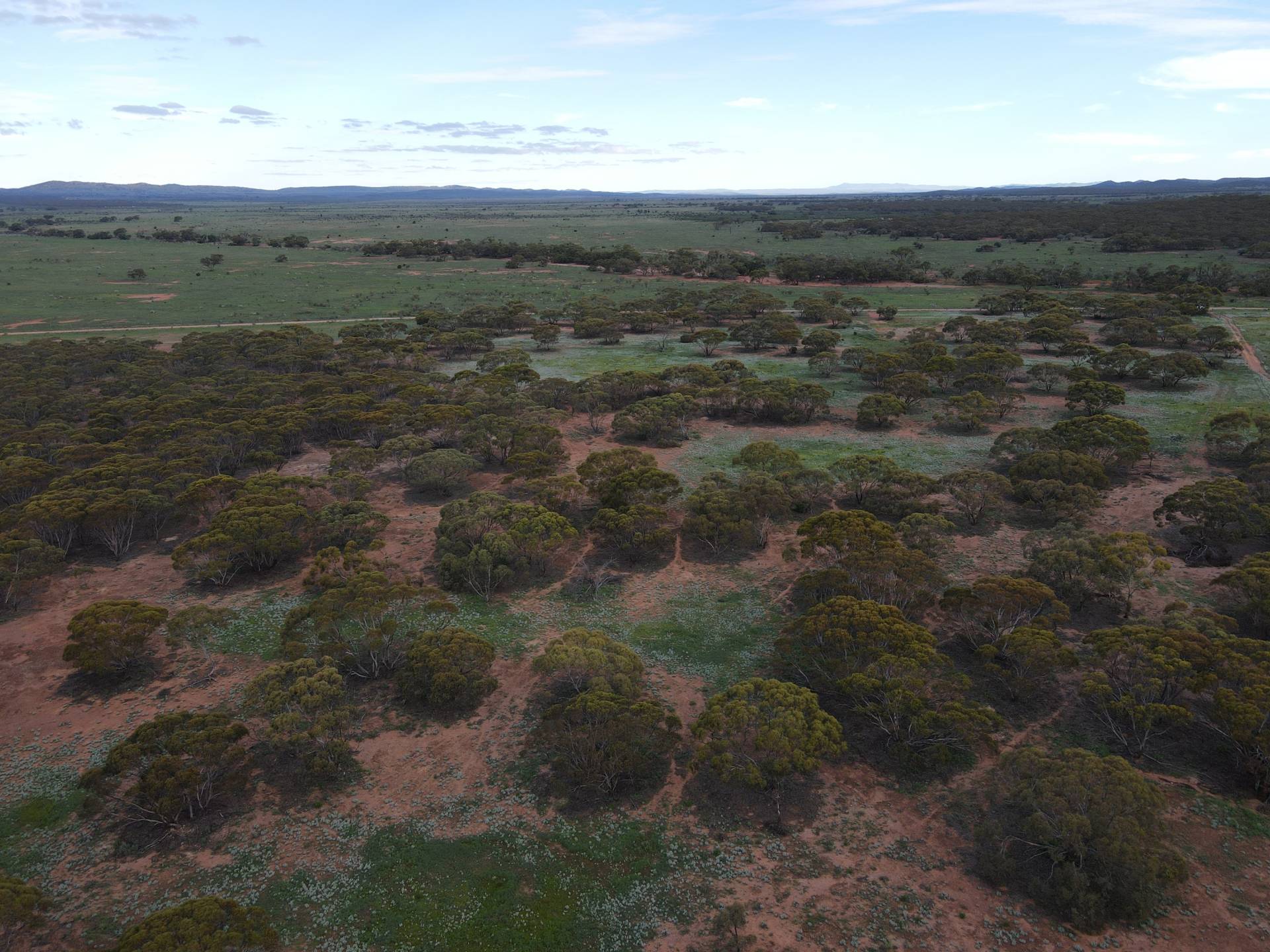 Pine Creek Road, Parnaroo - Thumbnail 5
