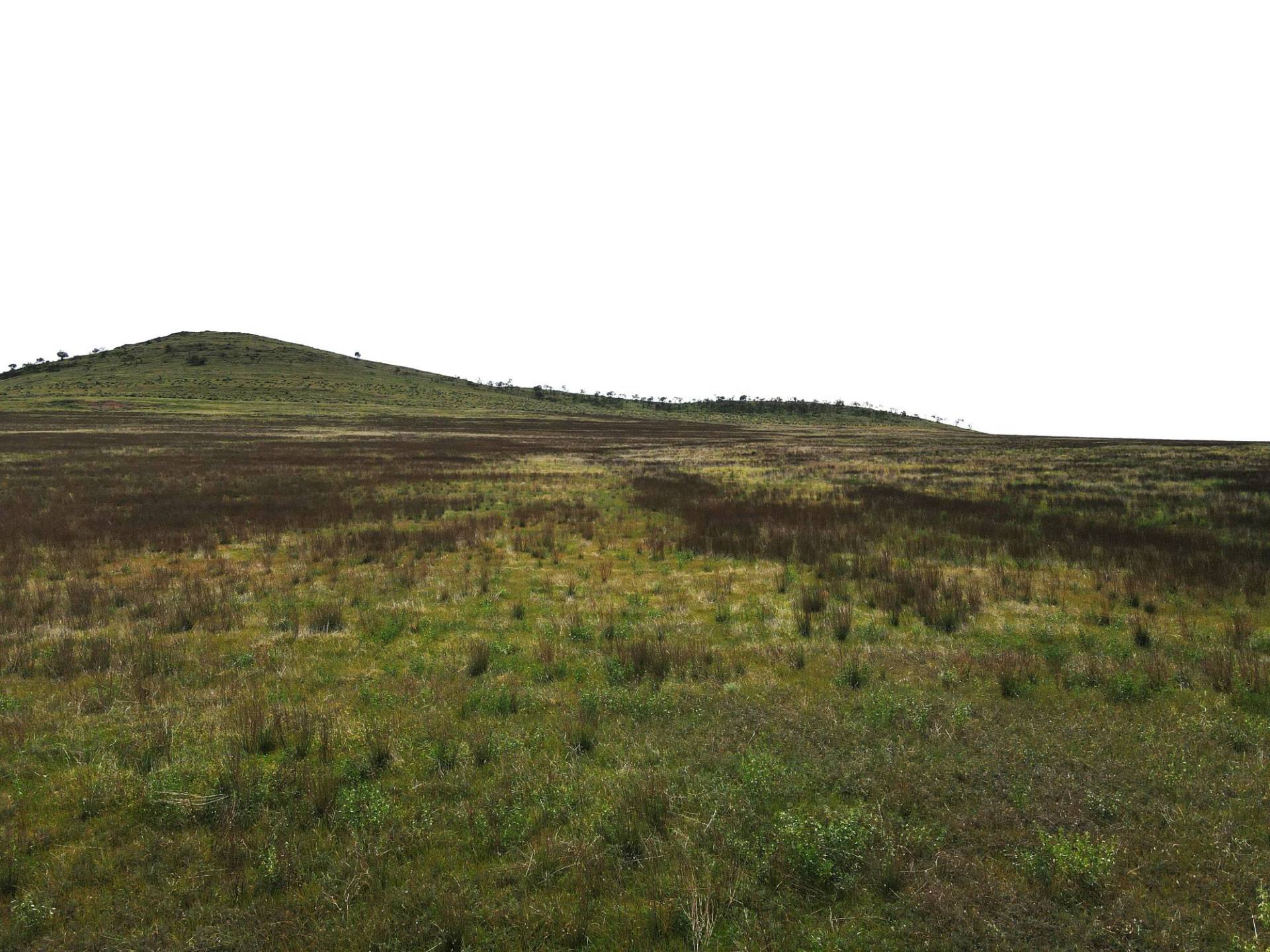 Lot 98 Crocker Hill Road, Pekina - Thumbnail 2