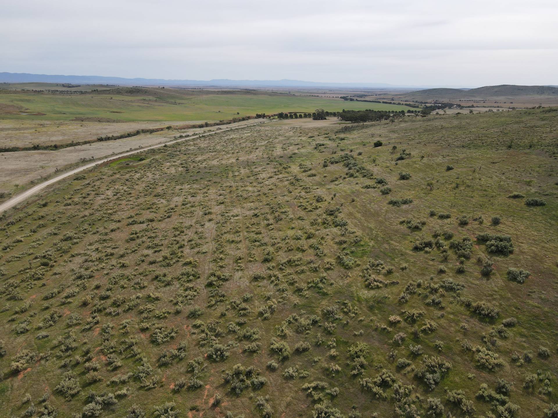 Lot 98 Crocker Hill Road, Pekina - Image 1