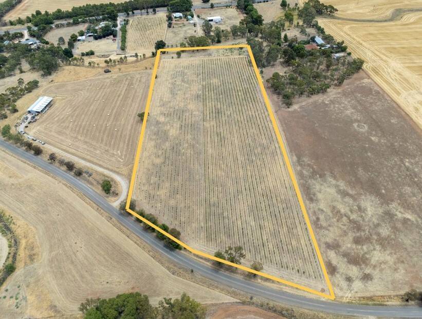 Section 15 Horrocks Highway, Auburn - Image 1