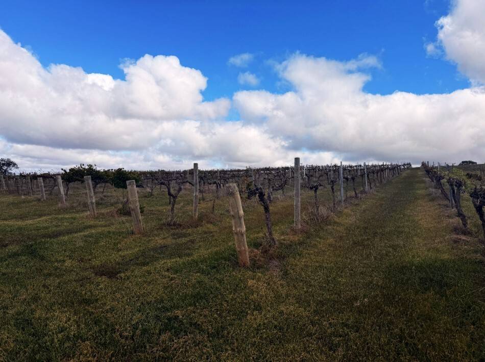 Section 15 Horrocks Highway, Auburn - Thumbnail 3