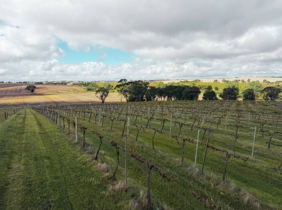 Section 15 Horrocks Highway, Auburn - Thumbnail 6