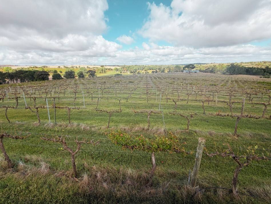Section 15 Horrocks Highway, Auburn - Thumbnail 8