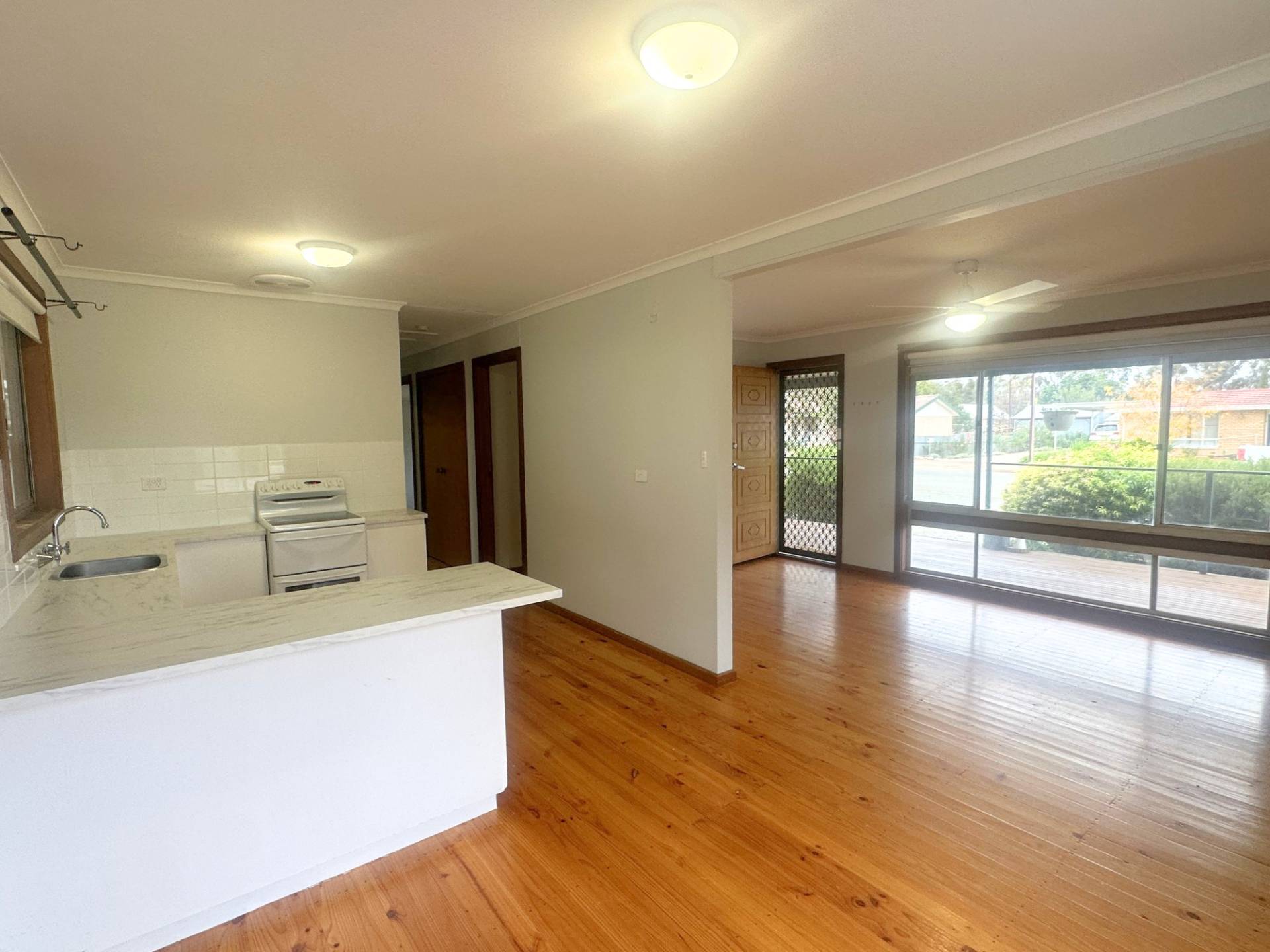 14 Muirkirk Street, Jamestown - Thumbnail 3