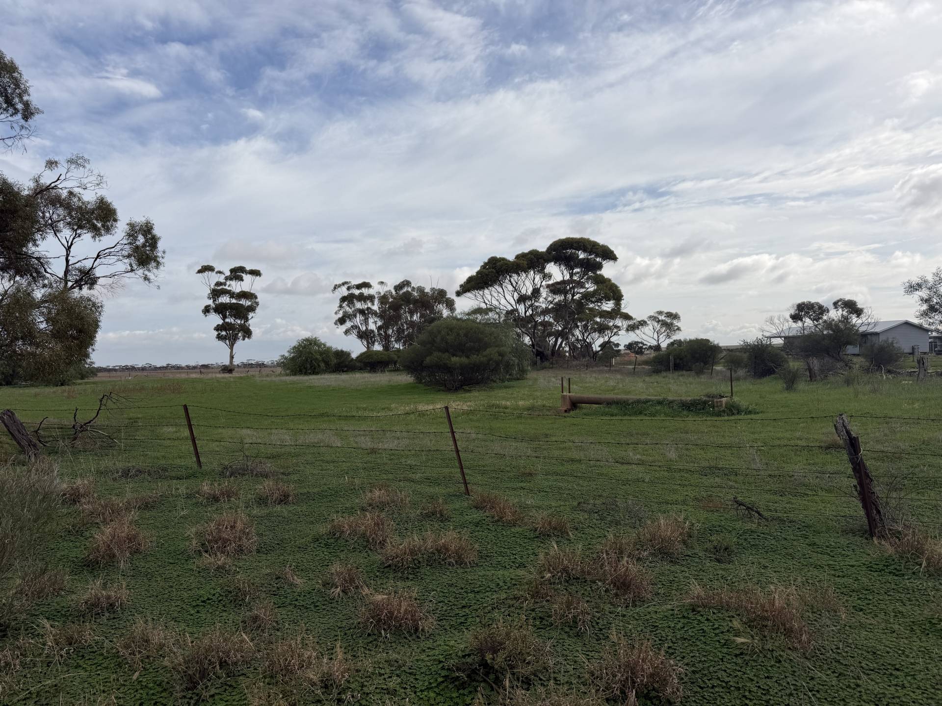 Lot 96 Pinery Road, Owen - Thumbnail 5
