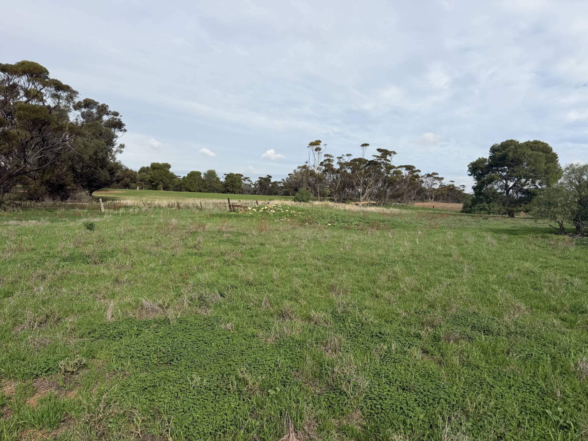 Lot 96 Pinery Road, Owen - Thumbnail 7