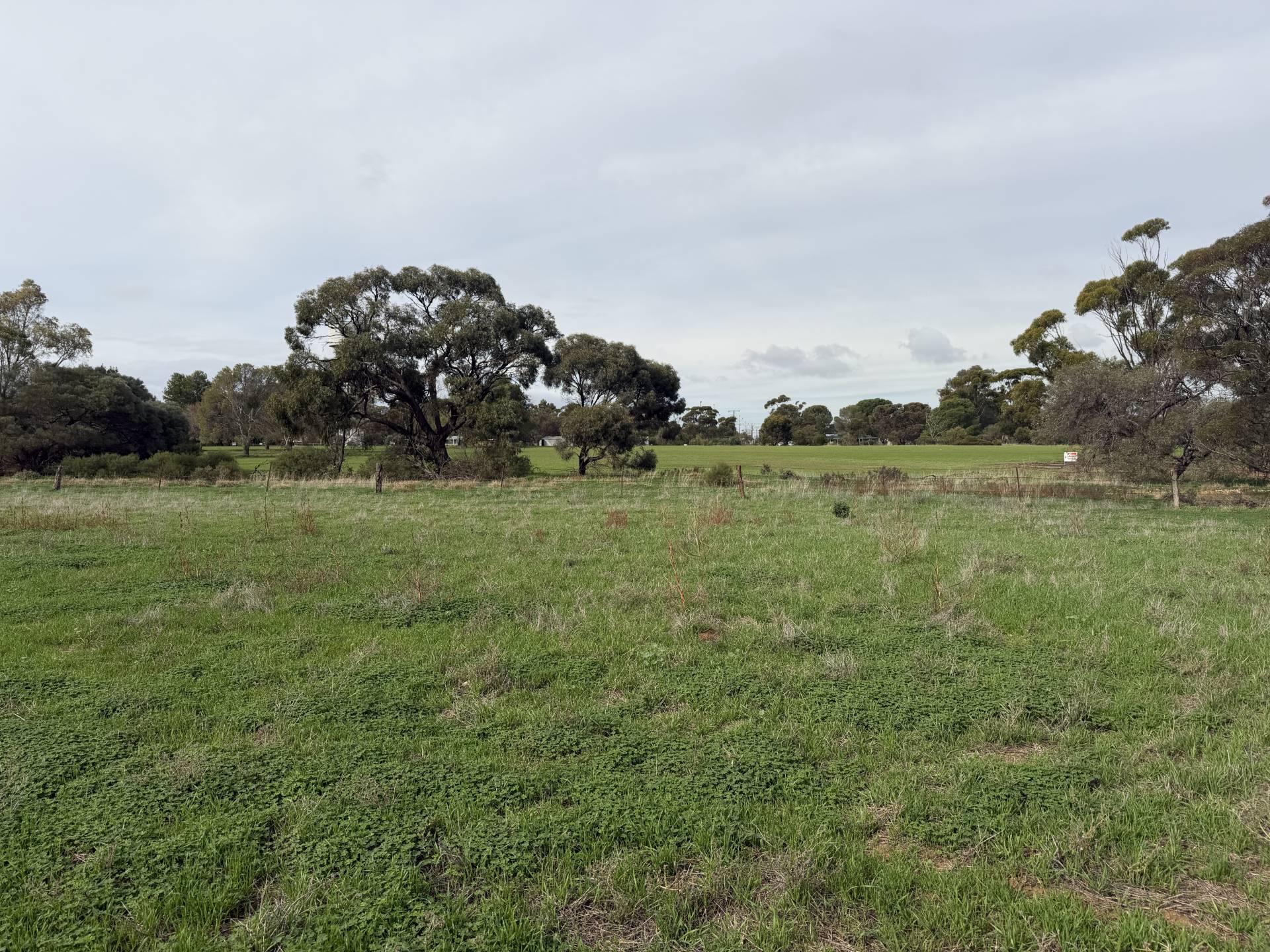 Lot 96 Pinery Road, Owen - Thumbnail 8