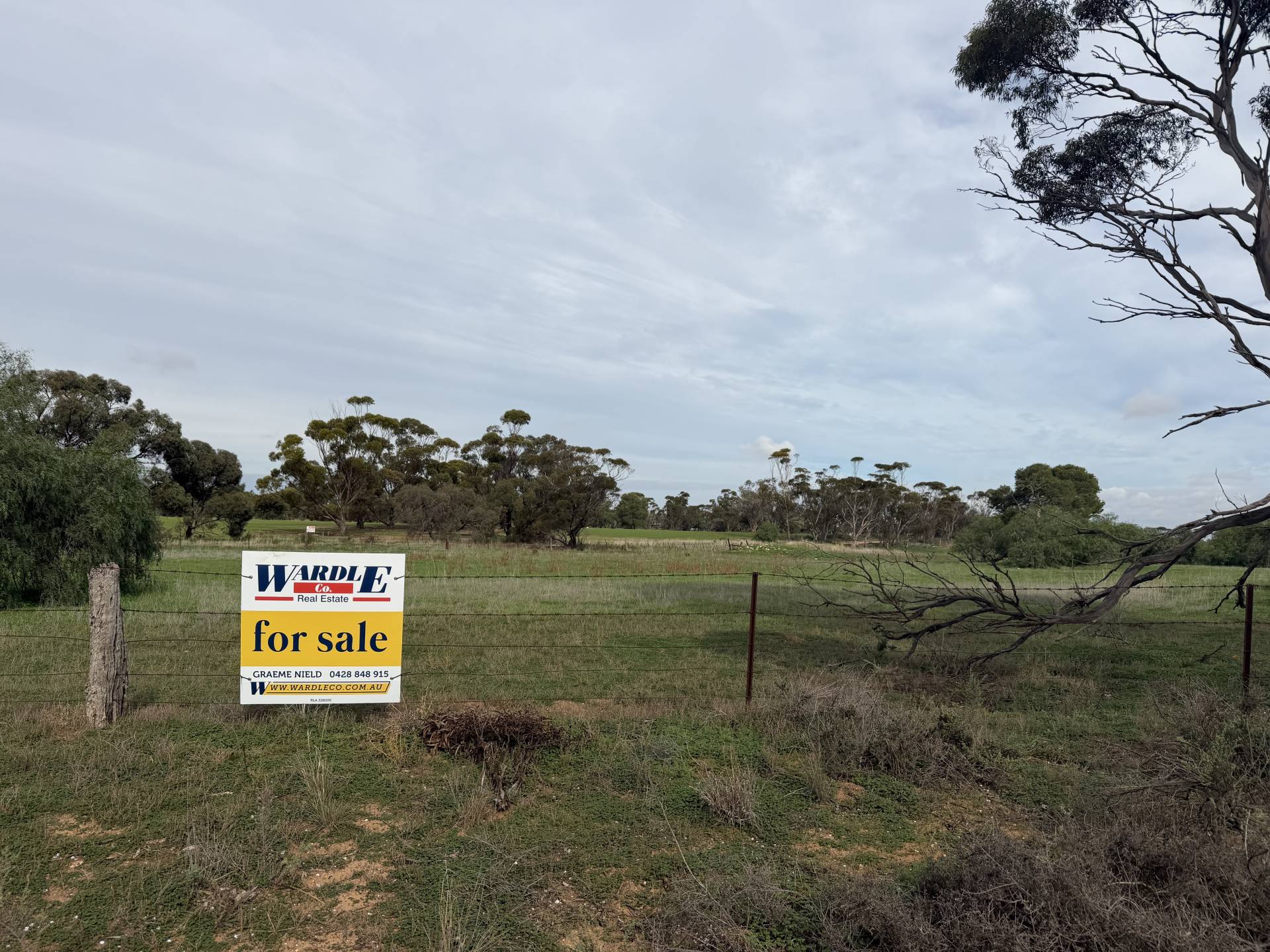 Lot 96 Pinery Road, Owen - Thumbnail 2