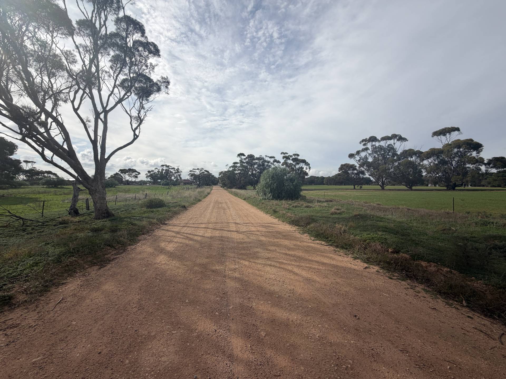 Lot 96 Pinery Road, Owen - Thumbnail 3