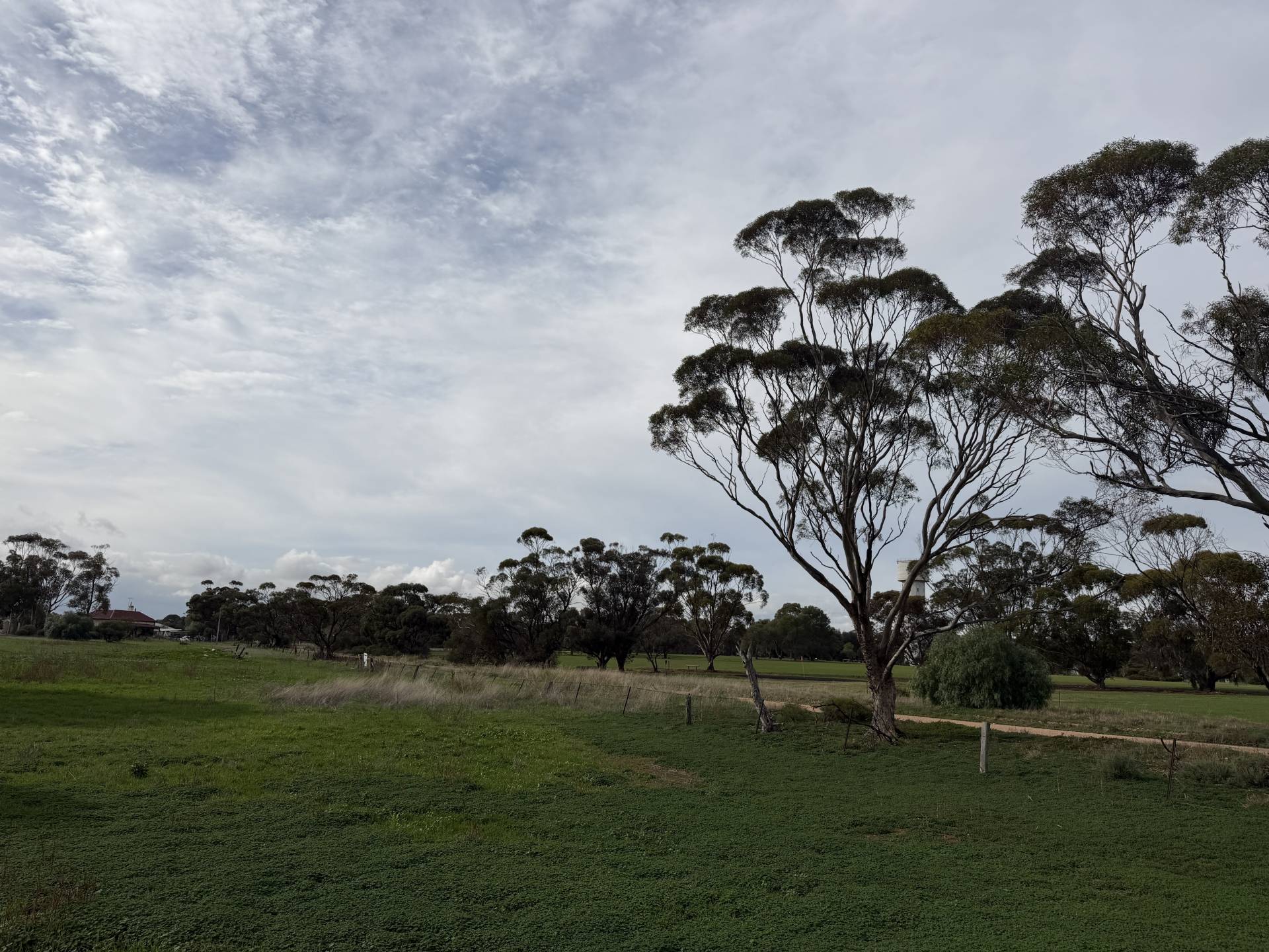 Lot 96 Pinery Road, Owen - Thumbnail 4