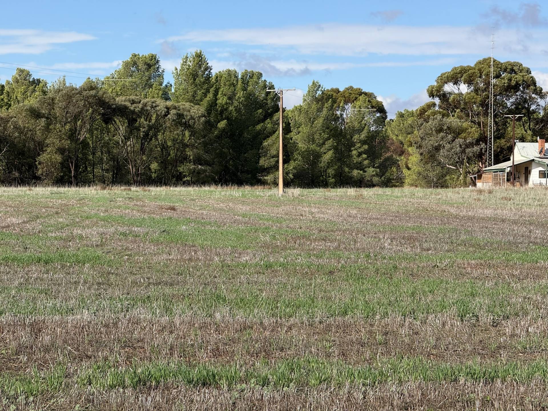 Section 307 Horrocks Highway, Gladstone - Thumbnail 4