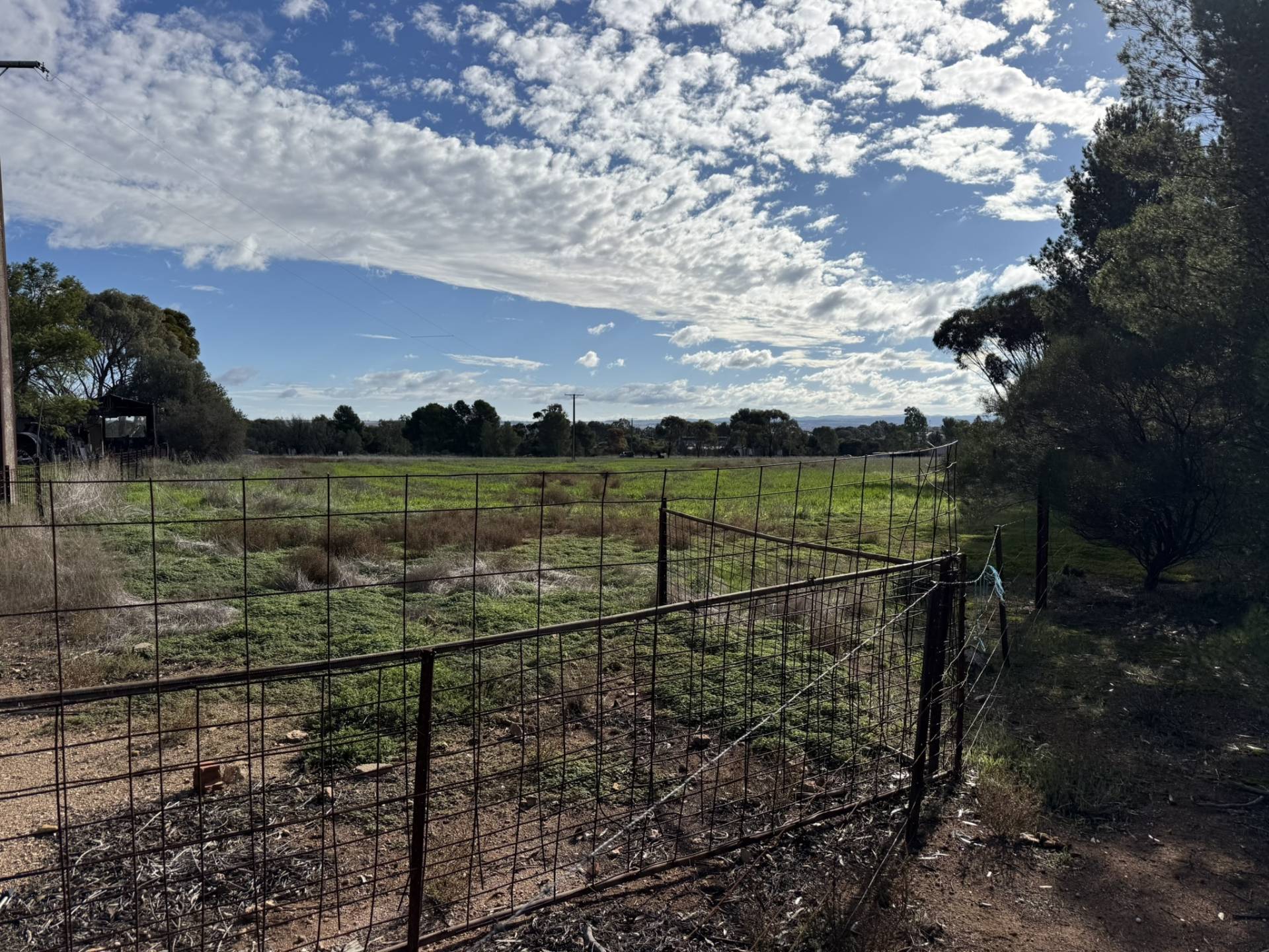 Section 307 Horrocks Highway, Gladstone - Thumbnail 6