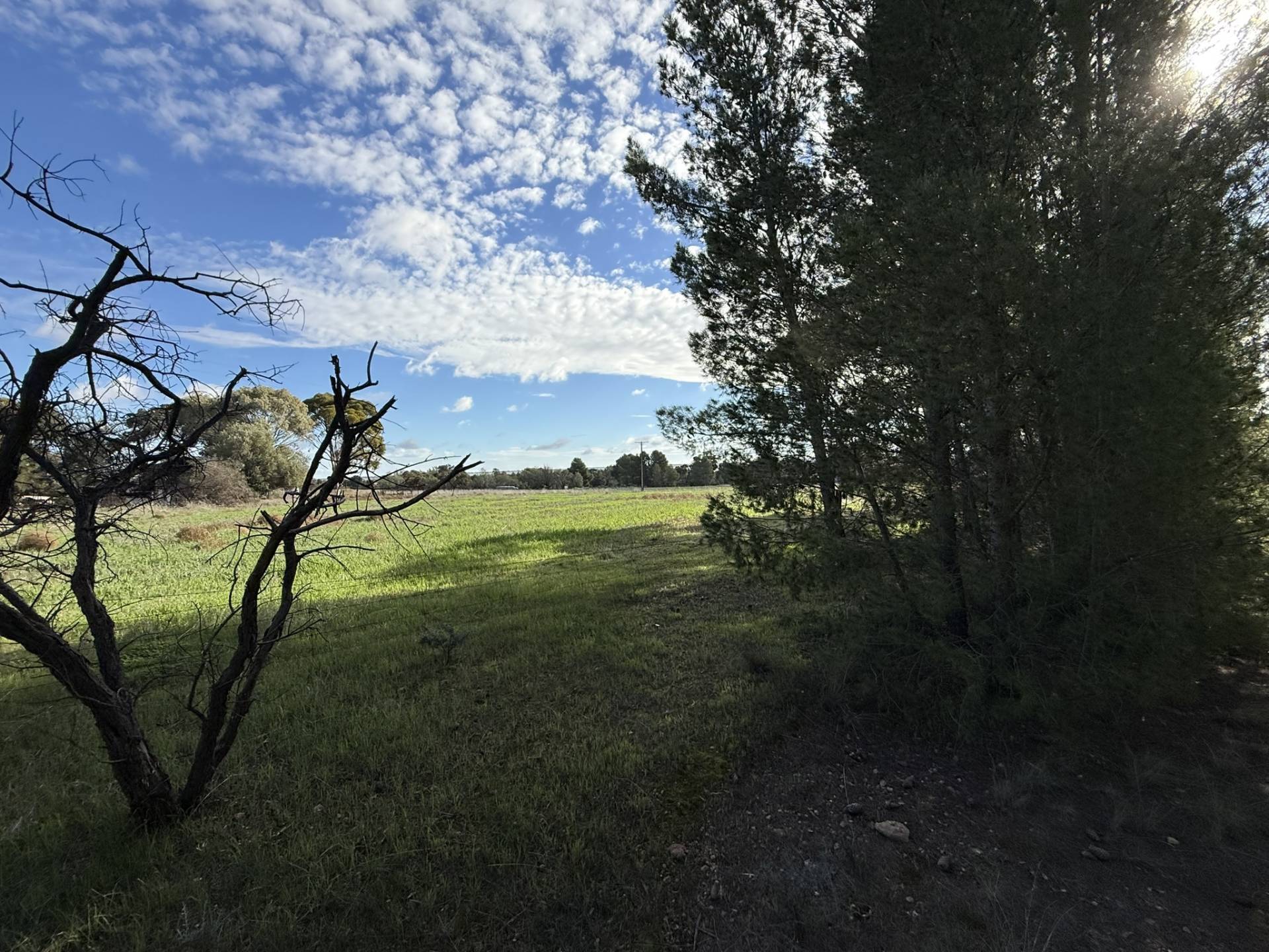 Section 307 Horrocks Highway, Gladstone - Thumbnail 7