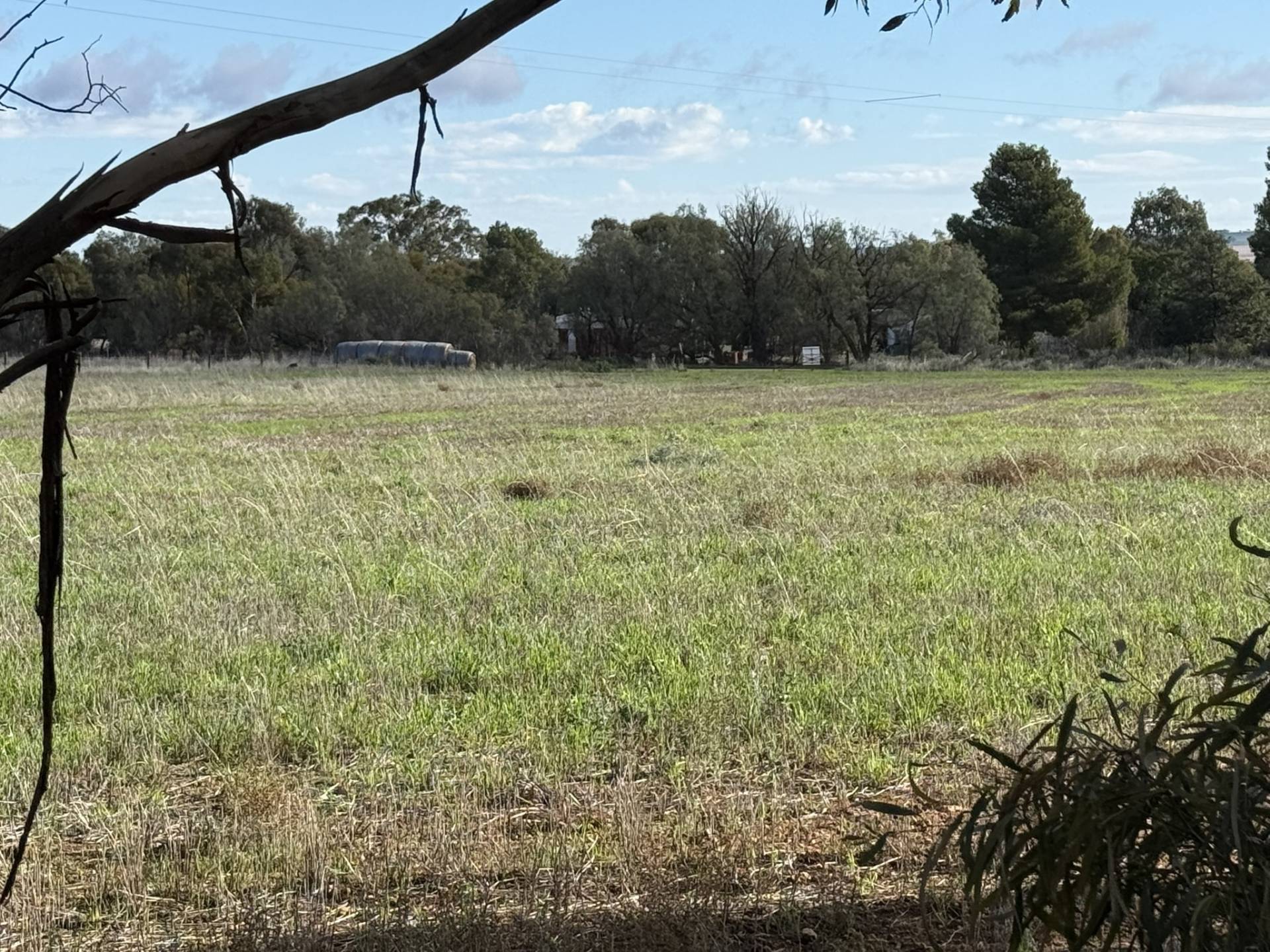 Section 307 Horrocks Highway, Gladstone - Thumbnail 8