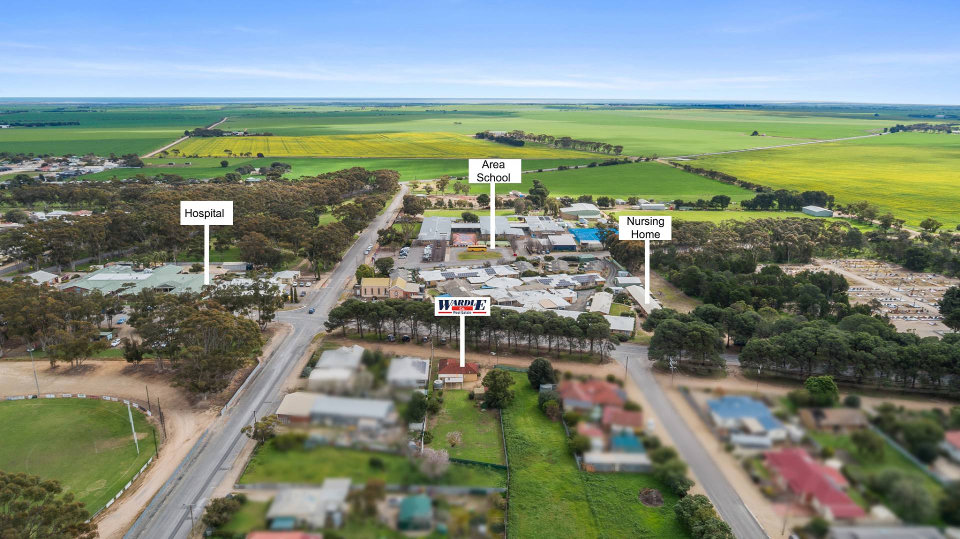 3 Centenary Avenue, Maitland - Thumbnail 4