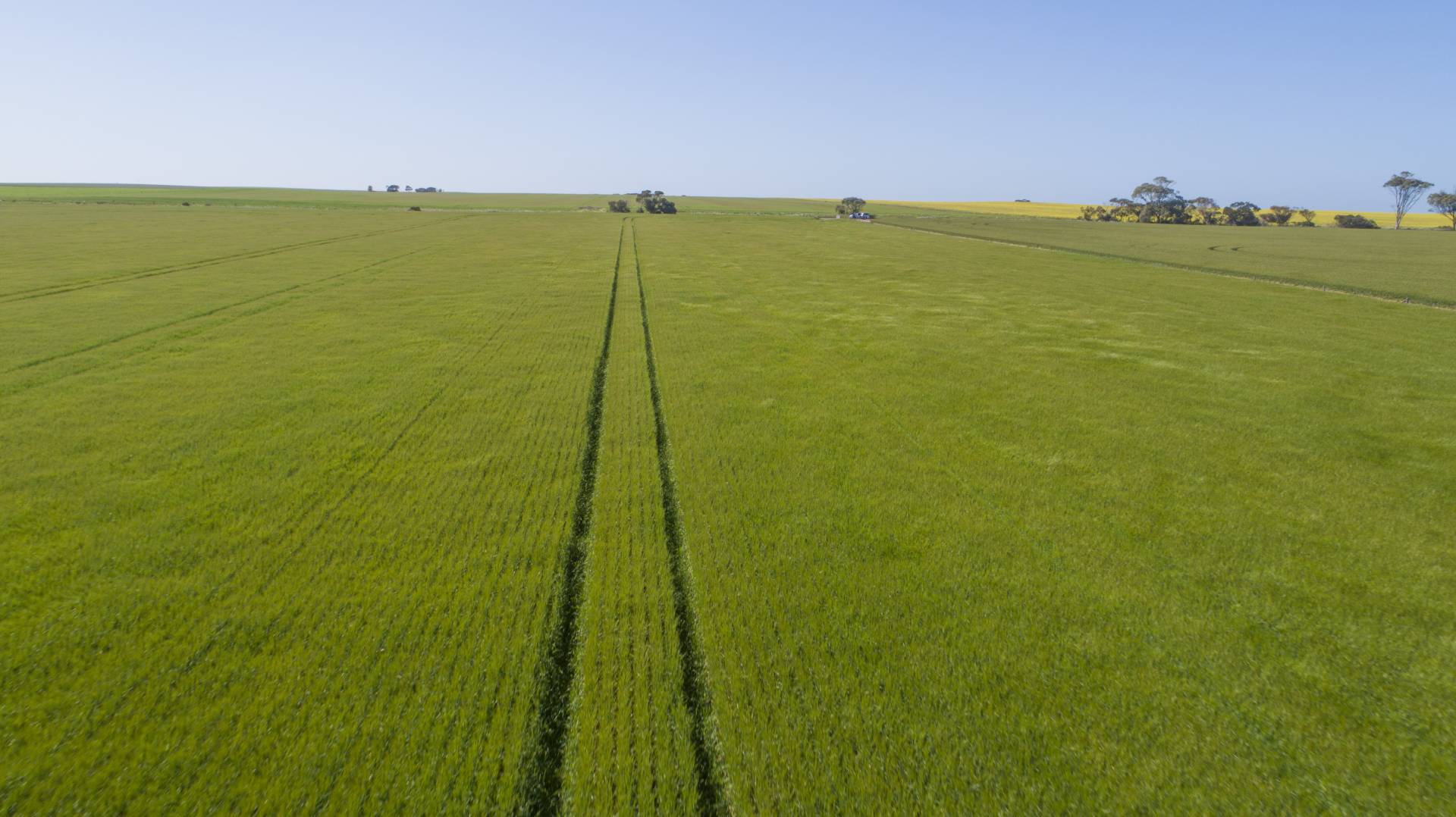 'Sims' Section 87N Rickaby Road, Minlaton - Image 1
