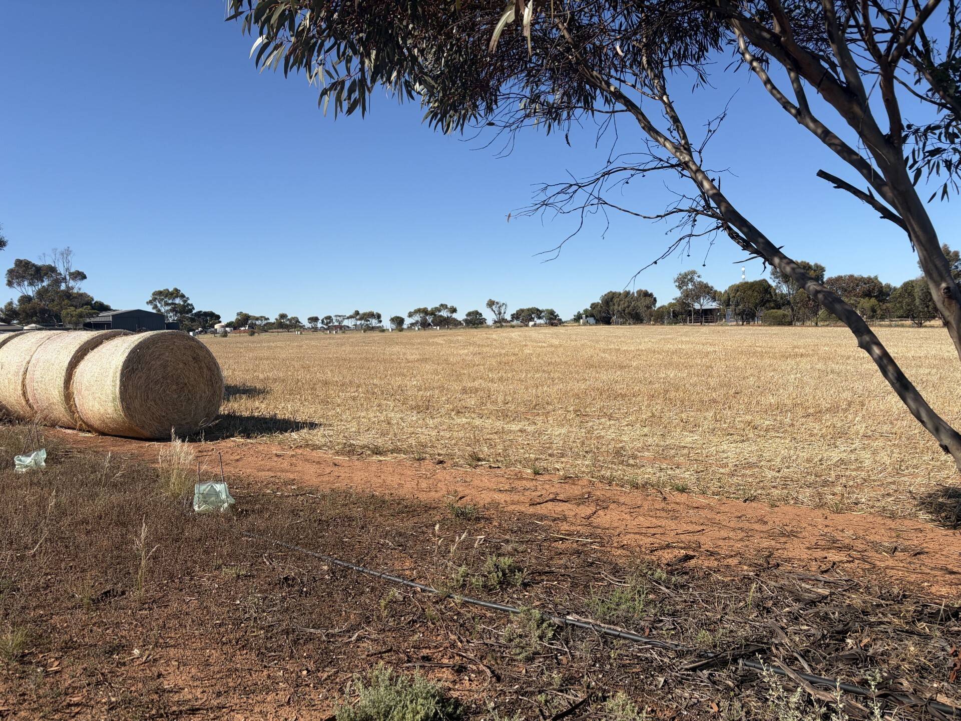 Lot 20 Martin Terrace, Kadina - Image 1