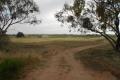 Enjoy this space on the Cattle Track