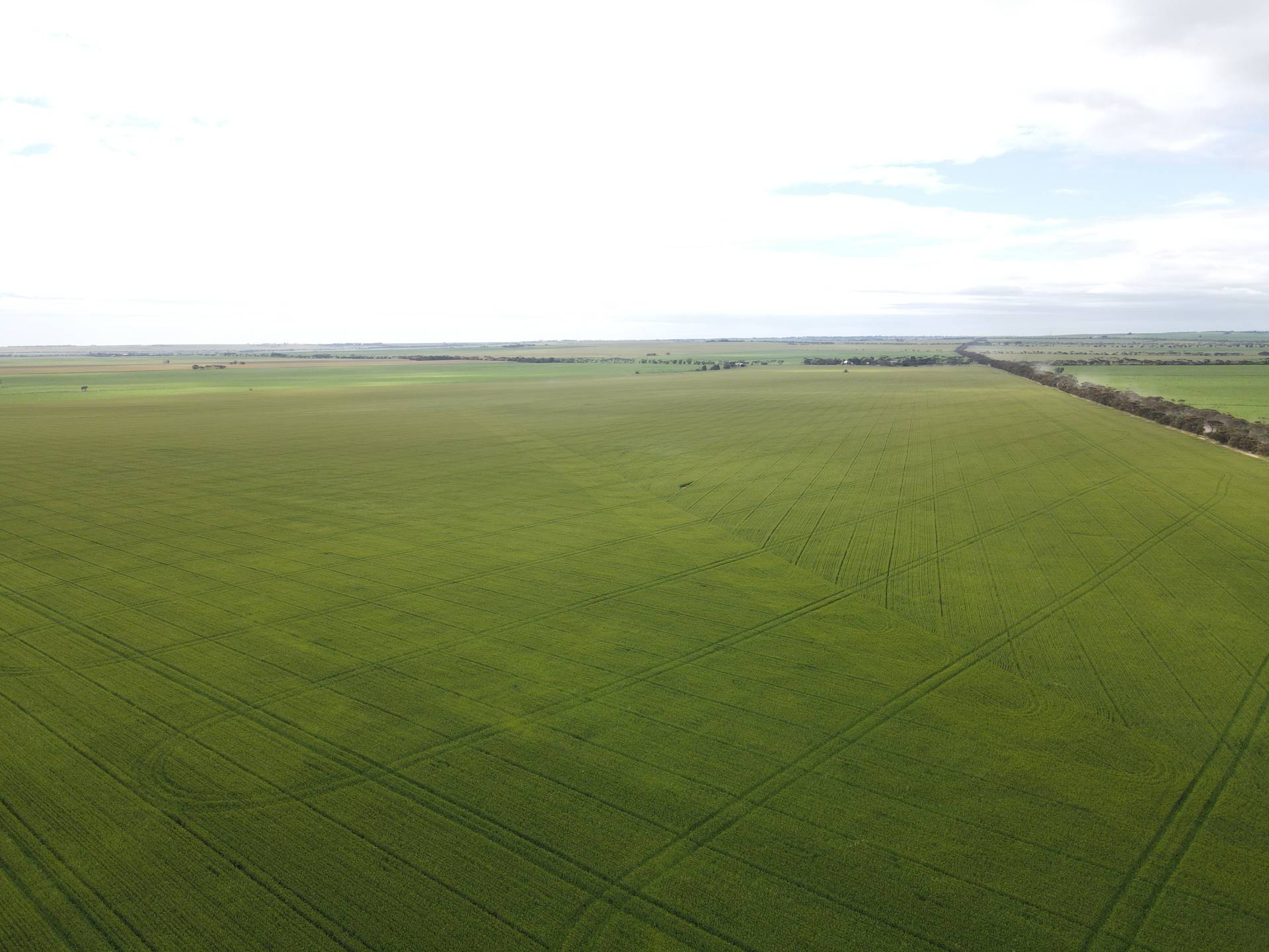 Productive Yorke Valley cropping land For Sale Wardle Co Real Estate