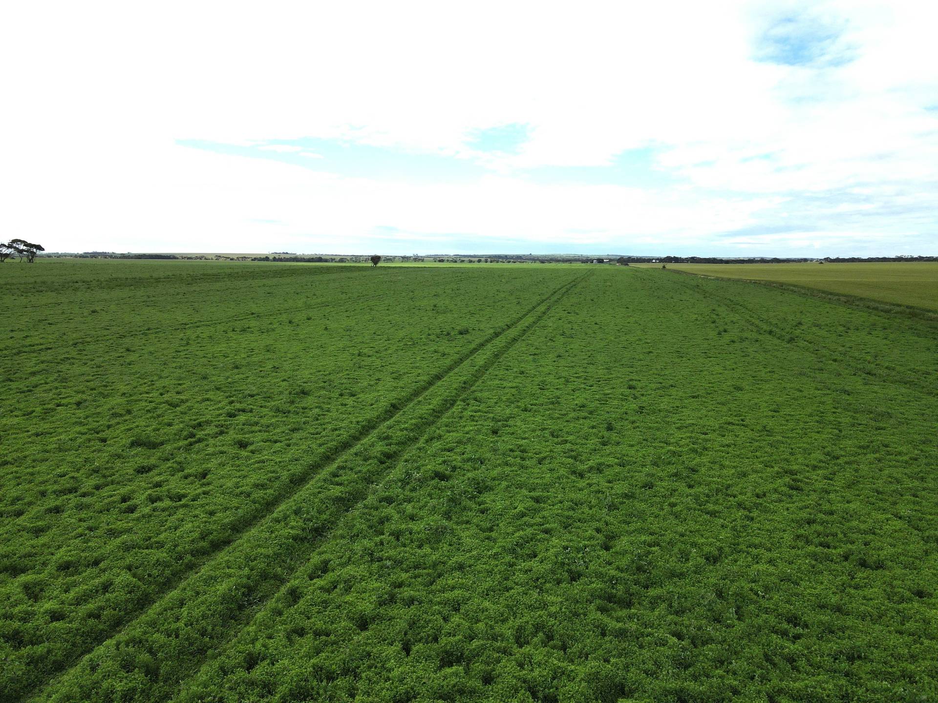 Productive Yorke Valley cropping land For Sale Wardle Co Real Estate