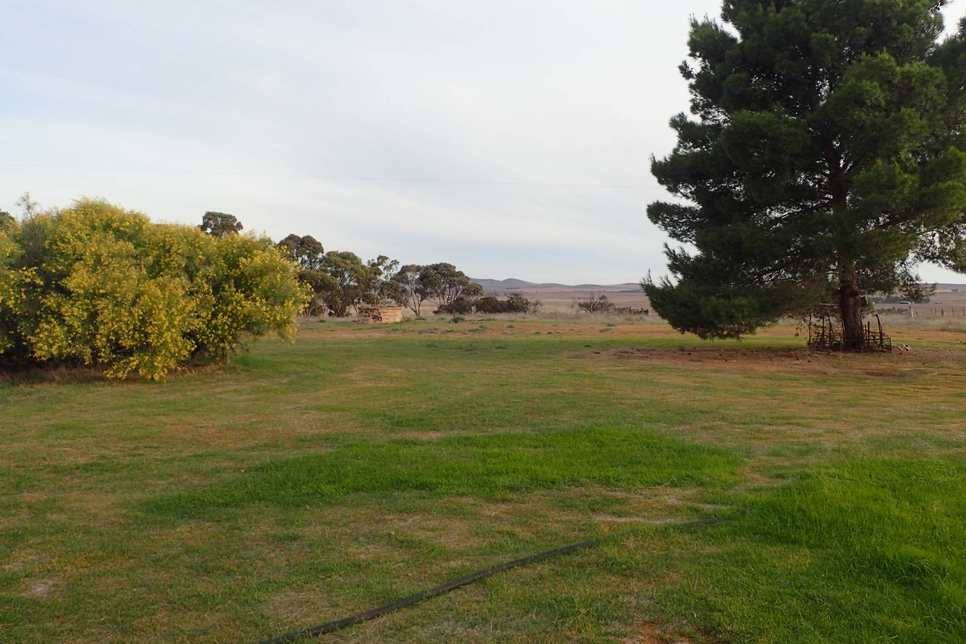 7106 Booborowie Rd, Booborowie - Thumbnail 6