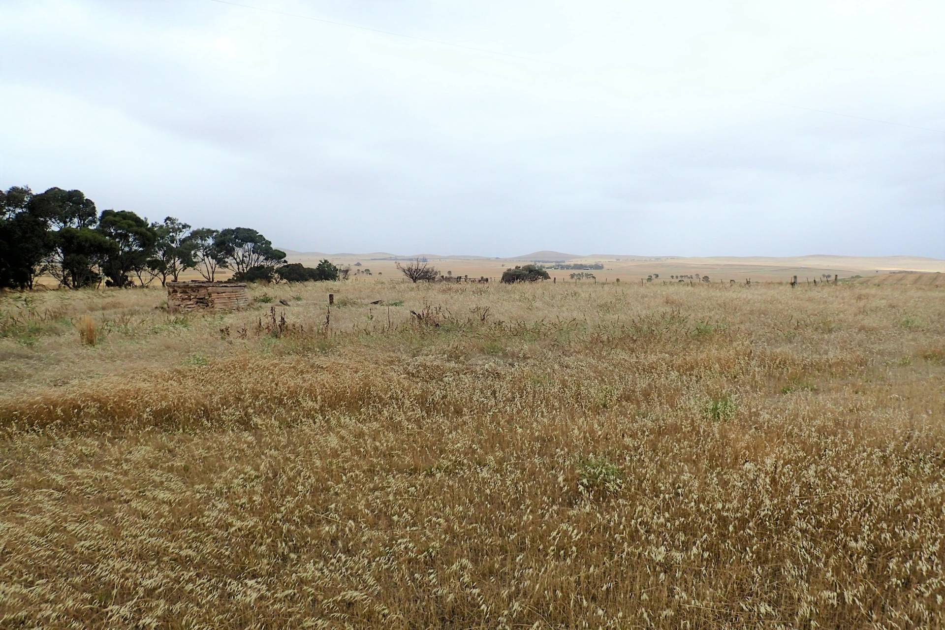 7106 Booborowie Rd, Booborowie - Thumbnail 4