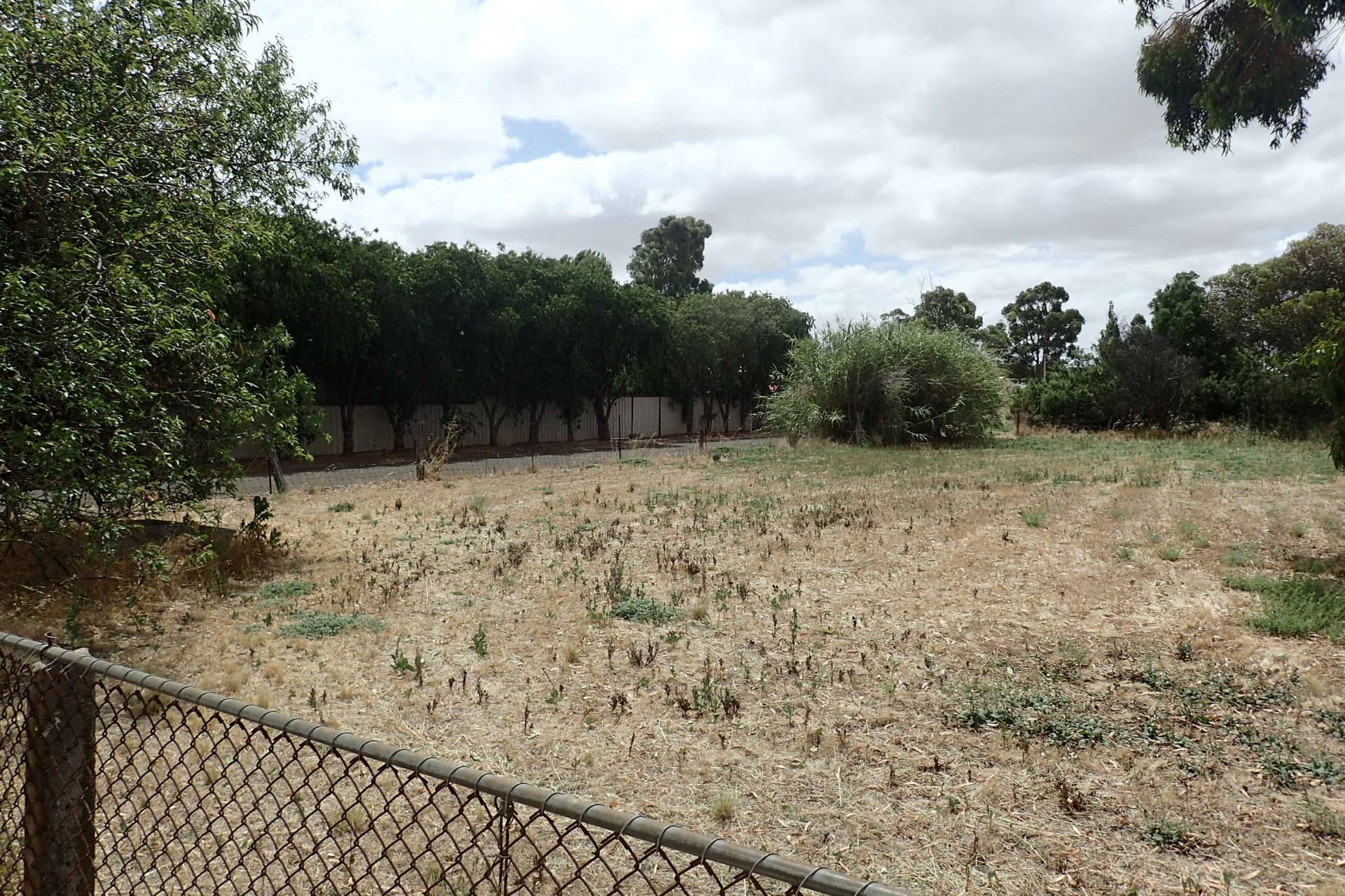 18 Wolfe Street, Jamestown - Thumbnail 2