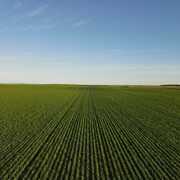 Seller of a Rural in Clements Gap