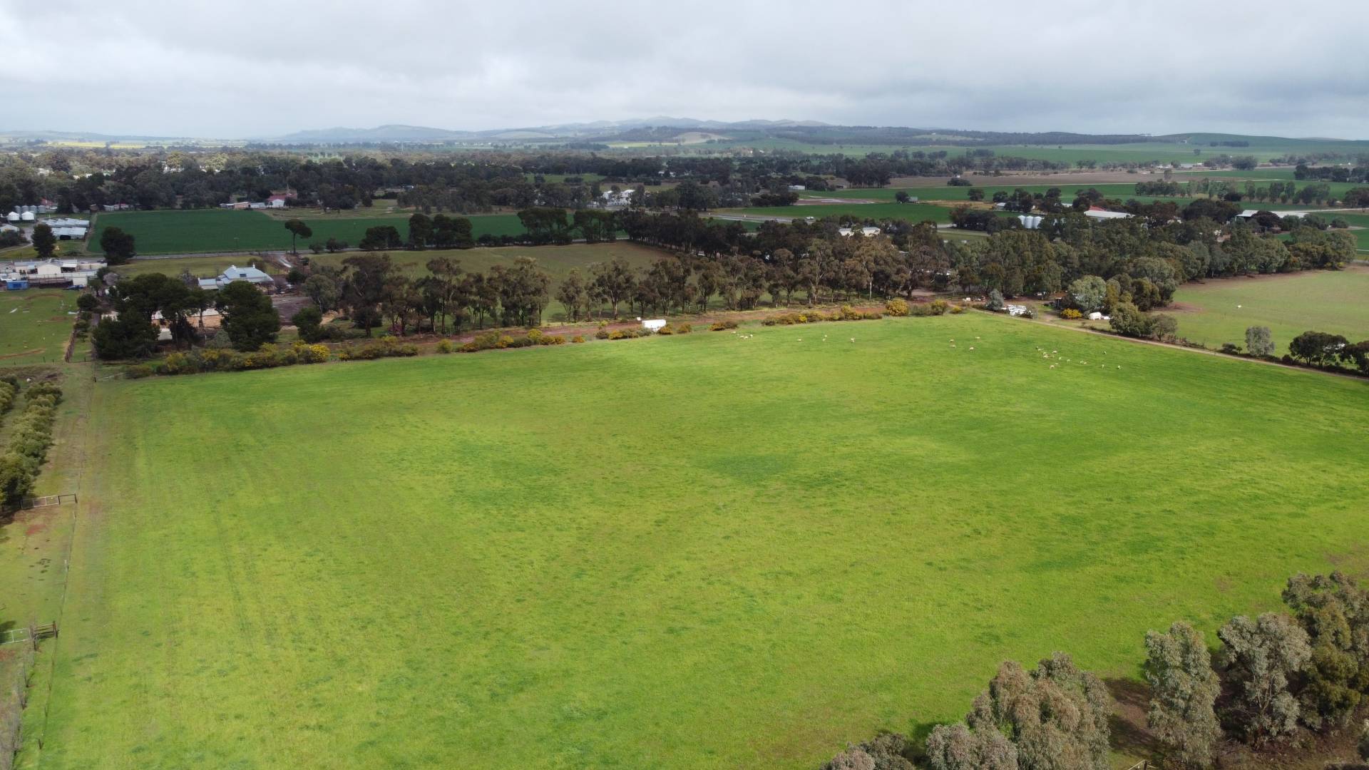 Section, 403 Wenhams Road, Jamestown - Thumbnail 2