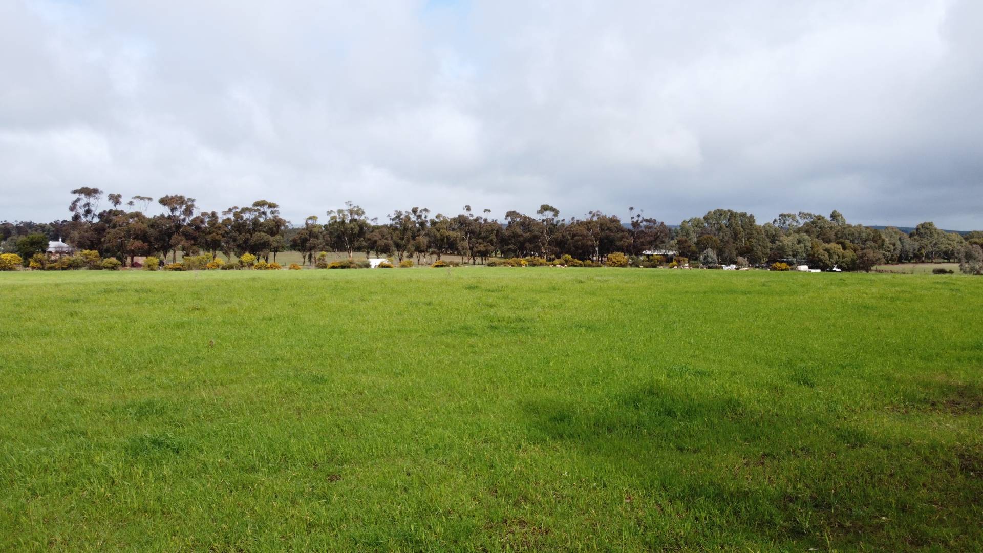 Section, 403 Wenhams Road, Jamestown - Thumbnail 3