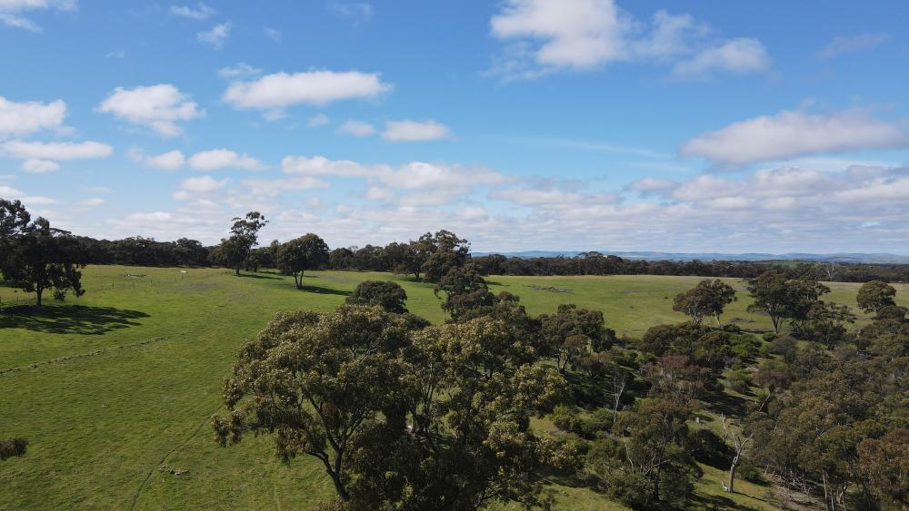 Hilpara Wardle Co Real Estate Hilpara Wardle Co Real Estate