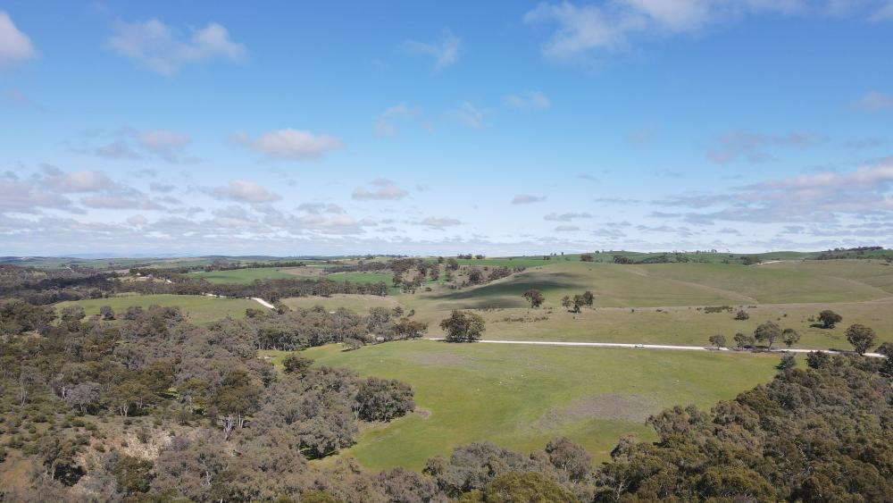 Hilpara Wardle Co Real Estate Hilpara Wardle Co Real Estate