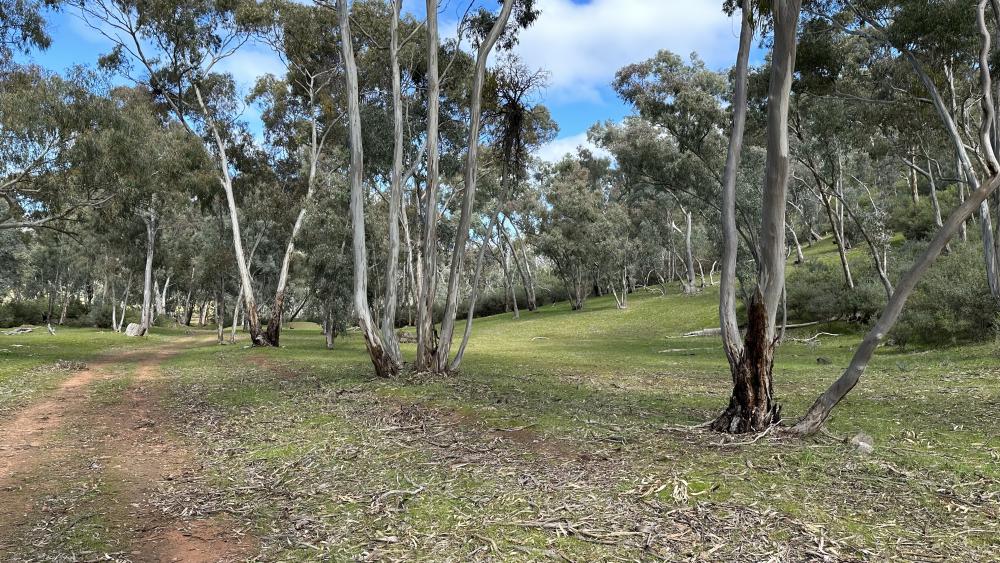 Hilpara Wardle Co Real Estate Hilpara Wardle Co Real Estate
