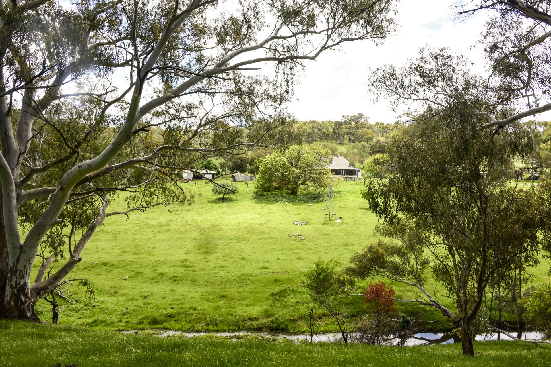 Hilpara Wardle Co Real Estate Hilpara Wardle Co Real Estate