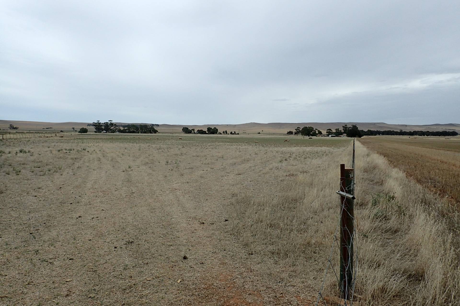 LOT 644 Penshurst Rd, Booborowie - Thumbnail 2