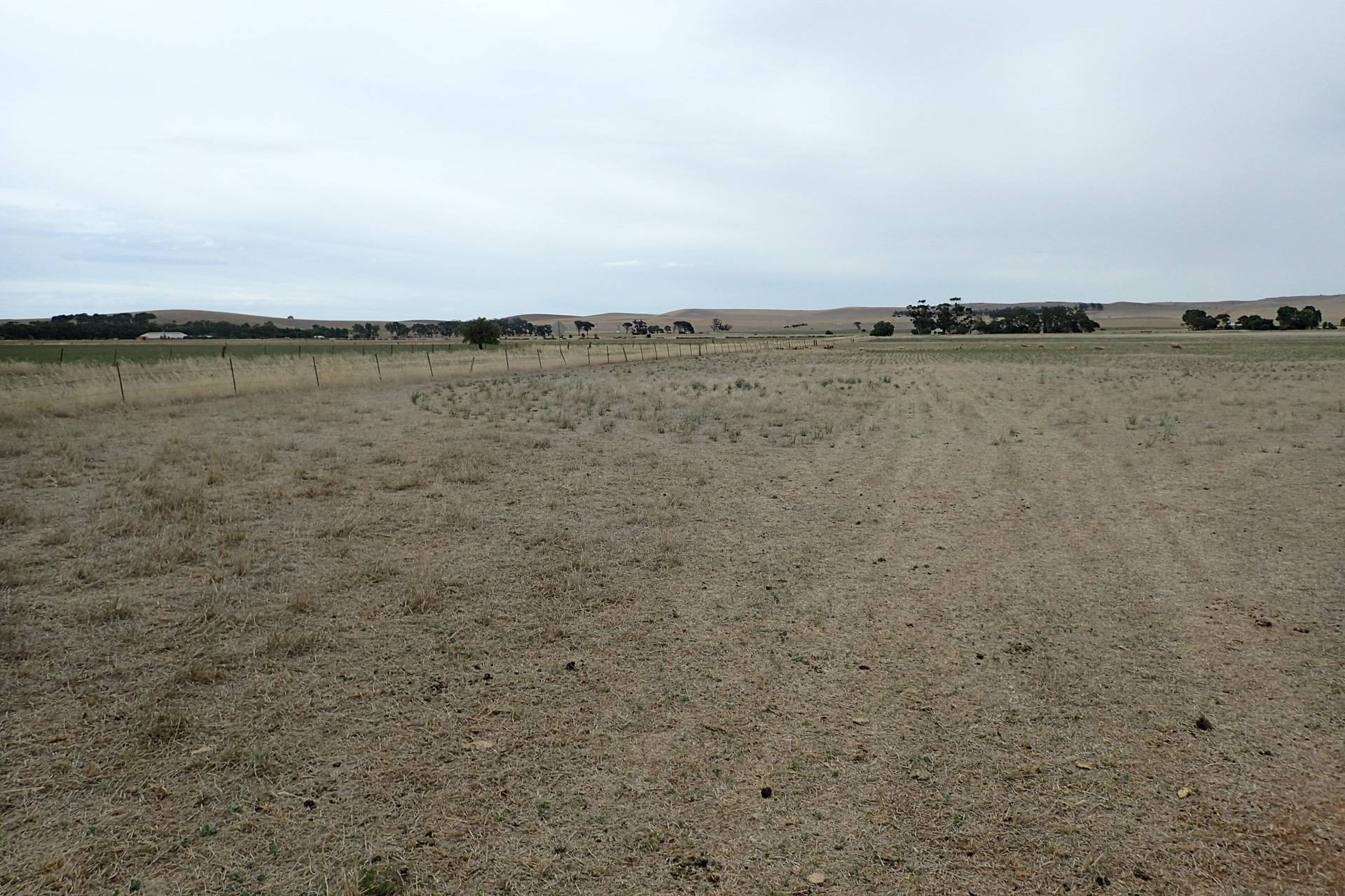 LOT 644 Penshurst Rd, Booborowie - Thumbnail 3