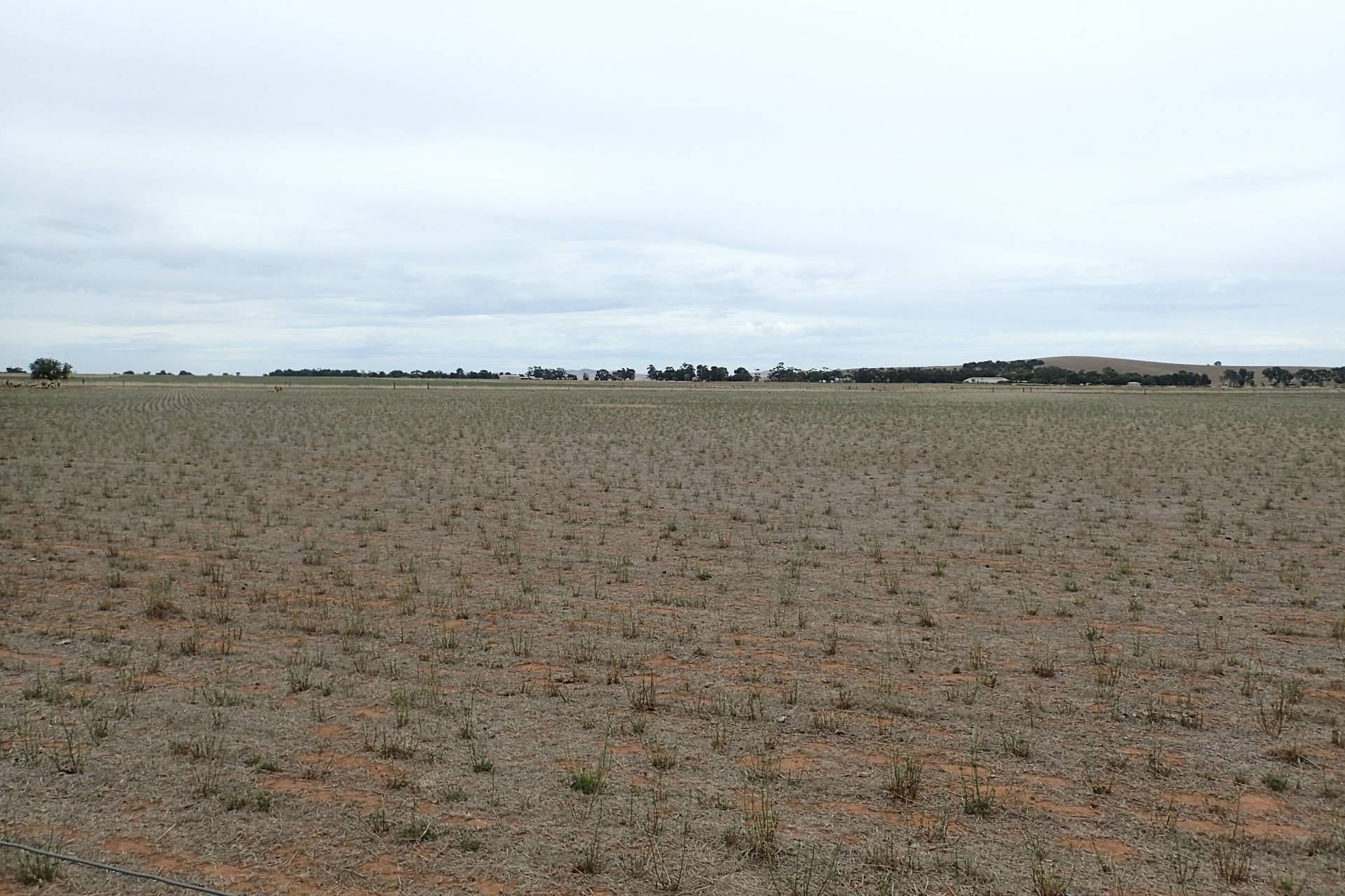 LOT 644 Penshurst Rd, Booborowie - Thumbnail 4