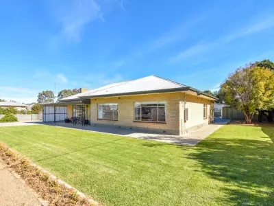 Lachie  S testimonial image