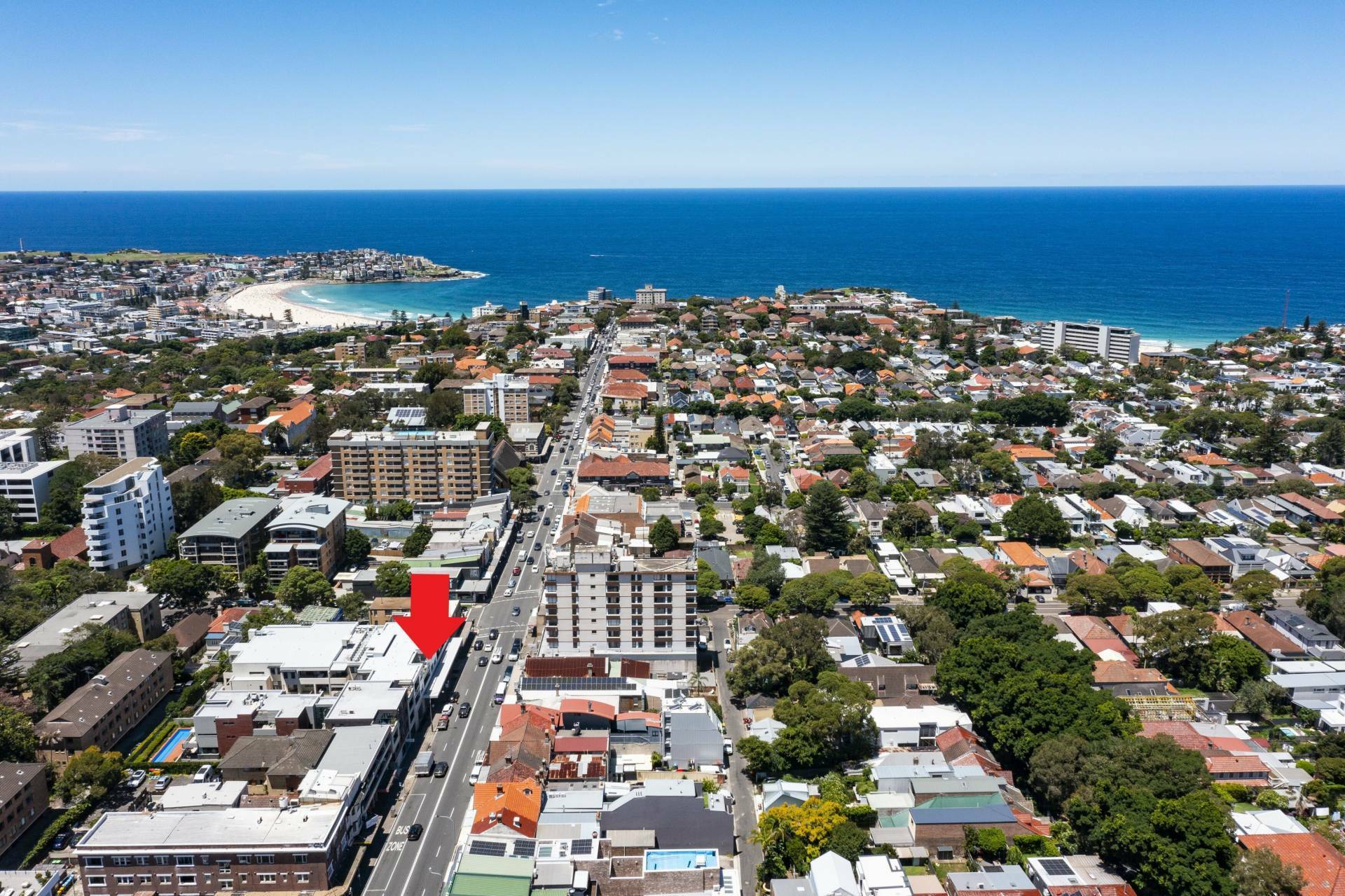 Shop 1, 170 Bondi Rd, Bondi - Thumbnail 3