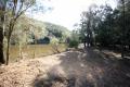PEACEFUL WATERFRONT PROPERTY - 5 ACRES