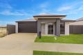 Modern Suburban Living