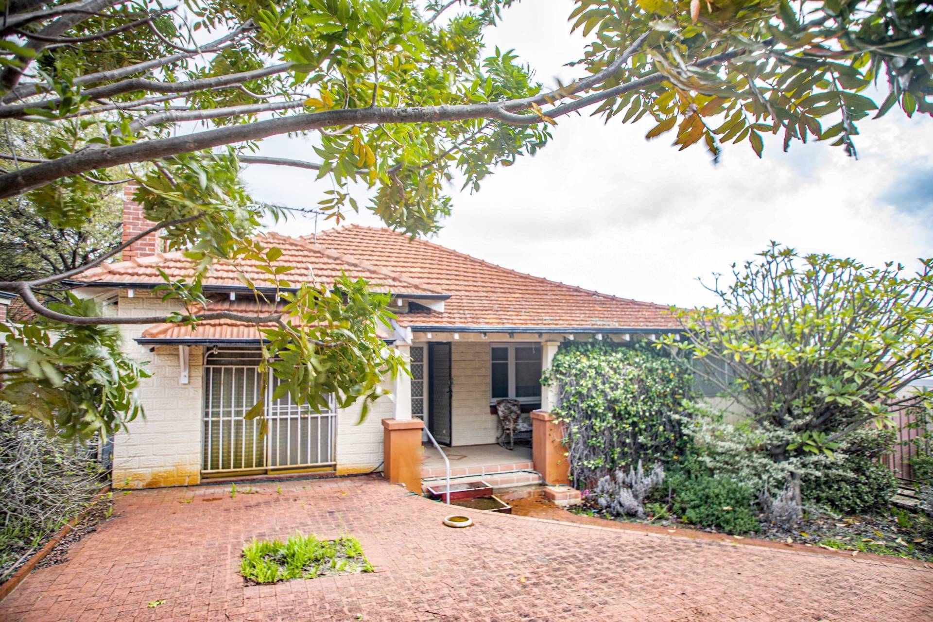 83 Kelvin Street, Maylands - Thumbnail 2