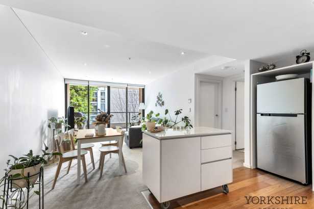 Basking in Northern Sun