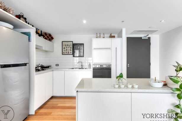 Basking in Northern Sun