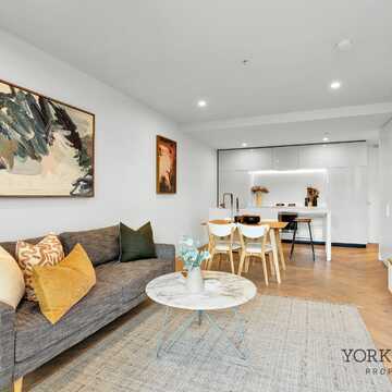 Paul V testimonial image